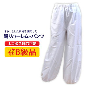 ႨՁ_XߑyZ0966003-Bzxn[Epc BizCg@|GXe(A[)gplR|X̏ꍇ1܂ŉ[509091]