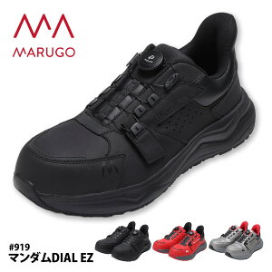 Vׁ ی SC _C^Cv [Jbg Y fB[X y #919 z }_ DIAL EZ 22.5-31.0cm S3F ϖ ϊ Ռz c [137052]