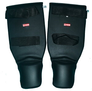 PHENOMtFm LbN{NVO bOK[h PHSG3  / 2yA/ LbN{NVOA