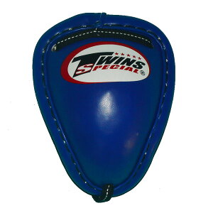 TWINScCY pt@[Jbv _CJXg u[ LTCY