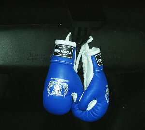 TOPKING gbvLO {v~j`AO[uyA J[ANZT[ 001 