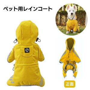 CR[g ^p S tJo[ ybgpJ [ht ` gCv[h