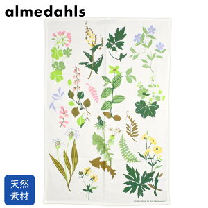Almedahls A_[X Lb`^I eB[^I XEFfBbVt[ Angso | Lb`^I eB[^I ӂ ^yXg[ e[ui[ l k kG  