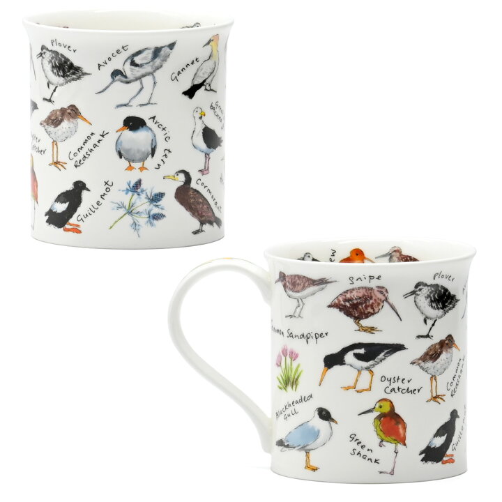 楽天市場】Dunoon ダヌーン マグ 300ml BUTE BIRDLIFE Coastal Birds 