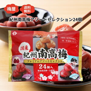 ~ IB썂~ v~AA\[gZNV 3×e8 v24 Ђ~ ~ ݂͂~  ⋋ MǑ΍ Y a̎R َq 