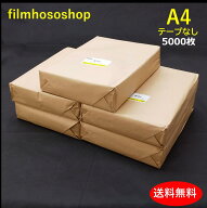 OPP袋 A4 テープなし 5000枚 30ミクロン 225×310mm 口合わせ 透明袋 透明フィルム封筒 A4用紙サイズ ラ…