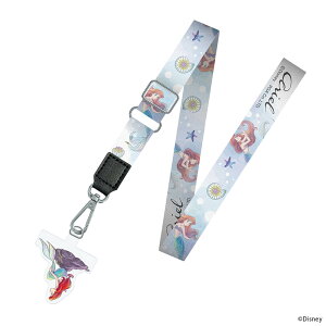 Xgbvz_[t V_[Xgbv 킢 Xgbv ΂ߊ| Disney xC}bNX Y[gsA `bvf[ }[ eBJ[x AG vcFmPG-DSDSTn