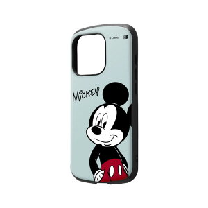 y݌ɏZ[ 2750~2258~ziPhone15Pro P[X Ռz 킢 fBYj[ LN^[ ACtB15v 6.1C` ϏՌP[X iPhone15 pro hih_bN ~j[}EX ~bL[}E