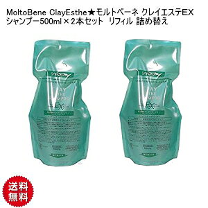 yCKzMoltoBene ClayEsthegx[l NCGXeEX Vv[500ml×2{Zbg tB lߑւ NCGXe Tdl X^[^[Zbg gx[l NCGXe NCGXe EX T