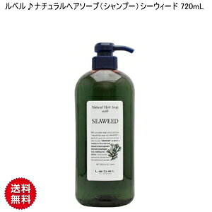 �yCK�zLebel [ Natural Hair Soap&Treatment ]�����x����i�`�������w�A�\�[�v�i�V�����v�[�j�V�[�E�B�[�h 720mL Lebel ���x�� ���x�� �V�����v�[ ���x�� �i�`�������w�A�\�[�v ���x�� �V�[�E�B�[�h ���x