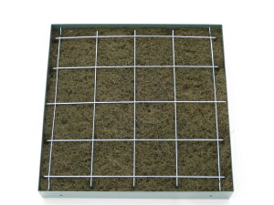 FC25Zbg FCtB^[25+g+iq