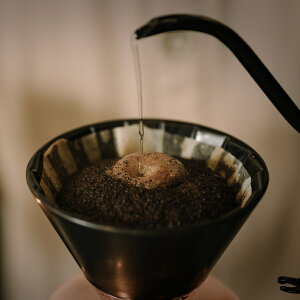 【カフェインレス/デカフェ】メキシコ チアパス タバチュラ オーガニック デカフェ マウンテンウォータープロセス 【豆80g×2袋orドリップバッグ7個】 ★★ コーヒー スペシャルティコー カ