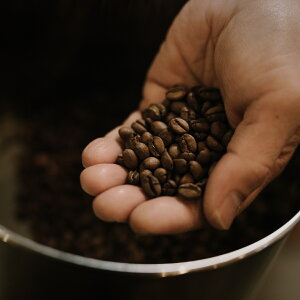 uW t@^W[ uW u{ i`y80g×2orhbvobO7z  R[q[ XyVeBR[q[ VOIW hbvobO   coffee 