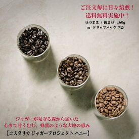 コスタリカ FSHB ジャガープロジェクト ハニー 【豆80g×2袋orドリップバッグ7個】 ★★コーヒー スペシャルティコーヒー シングルオリジン ドリップバッグ 送料無料 珈琲 coffee 自家焙煎 深煎りコーヒー 浅煎りコーヒー ハニー フルーティ アイスコーヒー