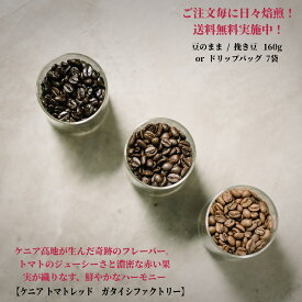 ケニア トマトレッド ガタイシファクトリー【豆80g×2袋orドリップバッグ7個】 ★★ / コーヒー スペシャルティコーヒー シングルオリジン ドリップバッグ 送料無料 珈琲 coffee アイスコーヒー 水出しコーヒー 自家焙煎珈琲 深煎りコーヒー浅煎りコーヒー フルーティ
