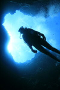 Bism ビーイズム オプチカルレンズ ダイビング マスク MF-MAX用 マックス MF2600用 近視 レンズのみ 72M1002 左右共用 二眼用 軽器材 【送料無料】