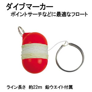 DF20@_Cu}[J[@_CrO@T[`@C̒22m@[J[݌ɊmF܂