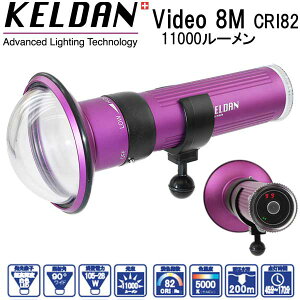 KELDAN Video 8M CRI82 11000[ Cg@[drA[dt rfI _CrO Cg