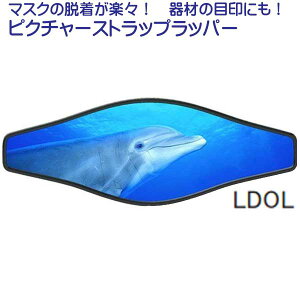 sN`[Xgbvbp[ 3/5@}XNXgbvJo[ XgbvJo[@yVLOlCi@@[J[݌ɊmF܂