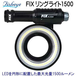 tBbVAC@FIX OCg1500 LED~`ɔzu ő1500[̃OCg [drA[dt *tZbgdl*@[J[݌ɊmF܂