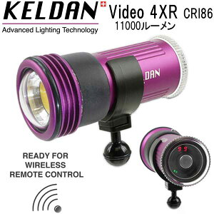 KELDAN Video 4XR CRI86 11000[ Cg@[drA[dt rfI _CrO Cg