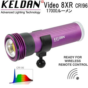 KELDAN Video 8XR CRI96 17000[ Cg@[drA[dt rfI _CrO Cg