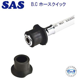 SAS 20989@BCz[XNCbN@BC / DRYX[cp z[XɁ@_CrO@[J[ɔ[E݌ɊmF܂