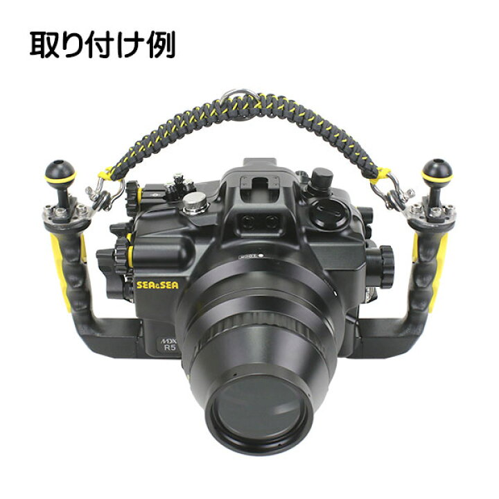 水中ハウジング RDX550D SEA&SEA（楽天市場】SEA&SEA シーアンドシー 