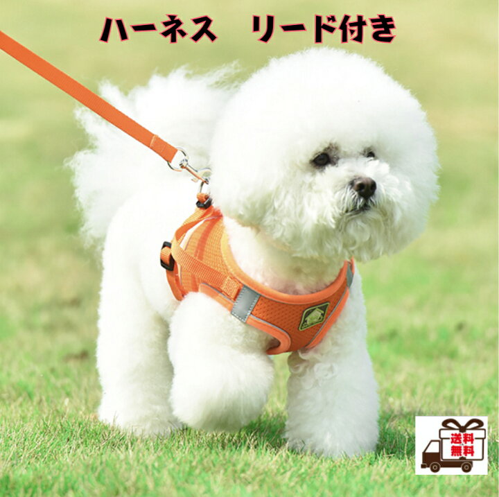 楽天市場 送料無料 犬 ハーネス リード付き 犬散歩用 首輪 胴輪 リード チワワ プードル 犬 小型犬 犬用 犬具 ハーネス 胴輪 散歩 お出かけ 簡単装着 おしゃれ かわいい 快適ウオーキング ブルー格安犬の服 オレンジ ピンク 格安犬の服 Finder