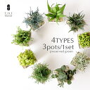 枯れない 観葉植物 全4種【3個1セット】 父の日 小さい ギフト プレゼント グリーンポット プリザーブドフラワー 母の日 枯れない 誕生日 開店祝い おしゃれ お礼 友人 小さい フェイク 観葉植物 グリーン 男性 父 送別祝い 退職祝い