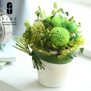 vU[uht[ hV̓ v[g Mtg   vU[uhO[ A[Xg[ ͂Ȃ O[ Vzj zj JXj ʏj ސEj   yb