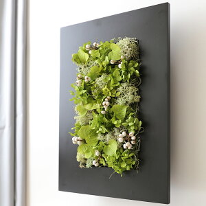 vU[uht[O[n[g Mtg v[g   t[ AW Vzj Ǌ|  av[g FB JXj JƏj a j CeA 