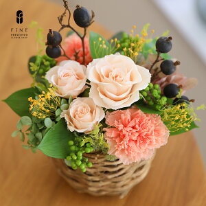 vU[uht[ hV̓  av[g FB a v[g Mtg  o 30 40 GU j JXj J@j NjbN Vzj  Cj  c