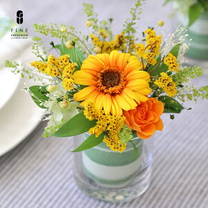 vU[uht[ v[g Mtg  2025 W[V[ Mtg v[g Ԃa VzjJXj  ސEj 搶 y LOi oYj CG[ IW Ђ܂