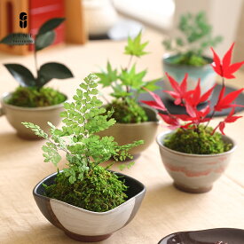 プリザーブドフラワー 和風 玄関 ギフト プレゼント 花 盆栽 ぷり盆栽 和風 送別祝い 誕生日 退職祝い 送別祝い 祖母 80代 孫 記念品 上司 卒業 お礼 お返し お彼岸 お供え 父 祖父 枯れない盆栽 還暦祝い 誕生日祝い