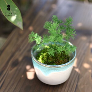 vU[uht[ }t ̉ a  Mtg v[g  ~ Ղ~ a ʏj a ސEj ʏj c 80  LOi i   Ԃ ފ   