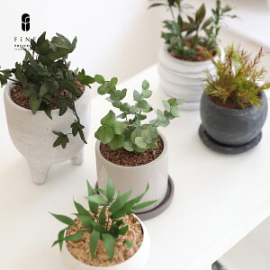 プリザーブドグリーン 観葉植物の人気商品 通販 価格比較 価格 Com