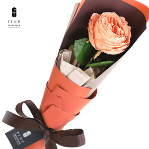 vU[uht[ hV̓ Mtg v[g  ԑ  u[P W ͂Ȃ aj j v|[X } } Ӊ 搶ւ̂ LOi T ސEj ̓ 