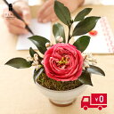 プリザーブドフラワー 迎春 お正月の花 プレゼント ギフト 花 玄関 花椿 和風 送別祝い 誕生日 退職 祖母 80代 孫 上司 お礼 還暦祝い 古稀 古希 米寿 誕生日 お祝い 長寿祝い 母 50代 60代 70代 90代 仏花 お彼岸 お供え 迎春花