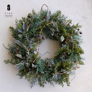 vU[uht[ Go[O[ [X NX}X[X  lTCY 40cm {    ǃhA k  I[V[Y i` vU[uhO[ v[g 