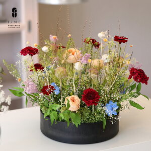 vU[uht[ K[f j aj JXj JƏj ACj ij ܏j ʏj ސEj LOj ̓Mtg p[eB  T j e킨