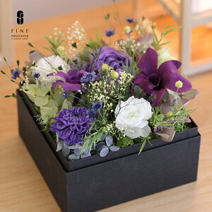 _dɂ {bNXt[ ~ 䋟  ̉   vU[uht[ Ԃ Mtg  ybg  d ~ ~  @  ފ  dp