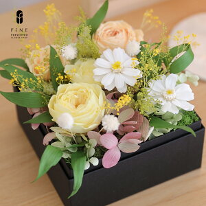 _dɂ {bNXt[ ~ 䋟  ̉   vU[uht[ Ԃ Mtg  ybg  d ~ ~  @  ފ  dp