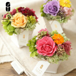 vU[uht[ v[g Mtg  2025  [b^ j j o o [Y ؂₩    ޏ  c 80   P Ď  aj