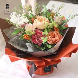 vU[uht[ ԑ o  av[g FB a 30 40 50  v[g Mtg  fB u[P LO a j sN [Y ސEj ʏj e ԑ