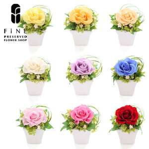 vU[uht[ v[g Mtg  2025  v`[Y [Y KN o  v`Mtg  Vzj ʏj av[g FB  o  ސEj  t 