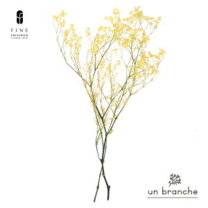 JX~ CG[/O[ i` vU[uht[ hCt[ ԍ ̔  i` Vv  nhCh CeA  kCeA NX}X I