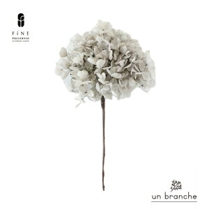 AWTC/p[O[ Xet vU[uht[ hCt[ ԍ ̔  i` Vv  nhCh n[oE jOCeA z NX}X N