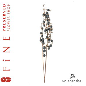 ubNx[ vU[uht[ hCt[ ԍ  i` Vv  nhCh CeA  kCeA NX}X I[ig NX}X[X 