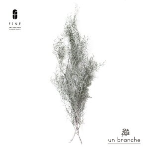 u[ACX@EHbVzCg vU[uht[ hCt[ ԍ  i` Vv  nhCh n[oE jOCeA NX}X I[ig N